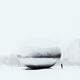 Illustration for article titled These Are Some of the Most Amazing iPhone Photos of the Year